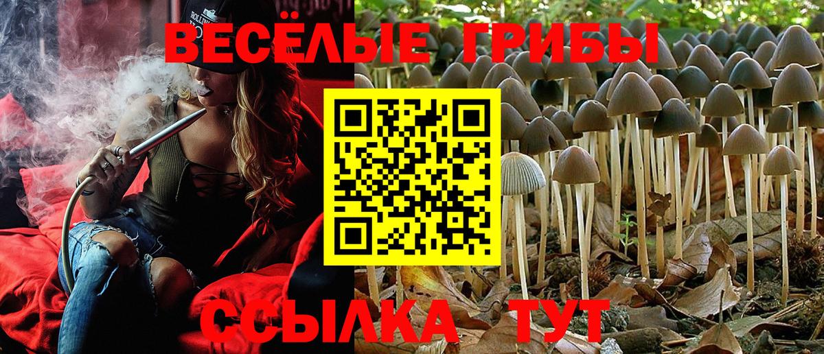 Галлюциногенные грибы ЛСД  Псилоцибиновые грибы мухоморы  Тутаев  Вход с VPN 