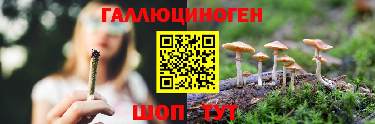 Псилоцибиновые грибы мухоморы Тутаев